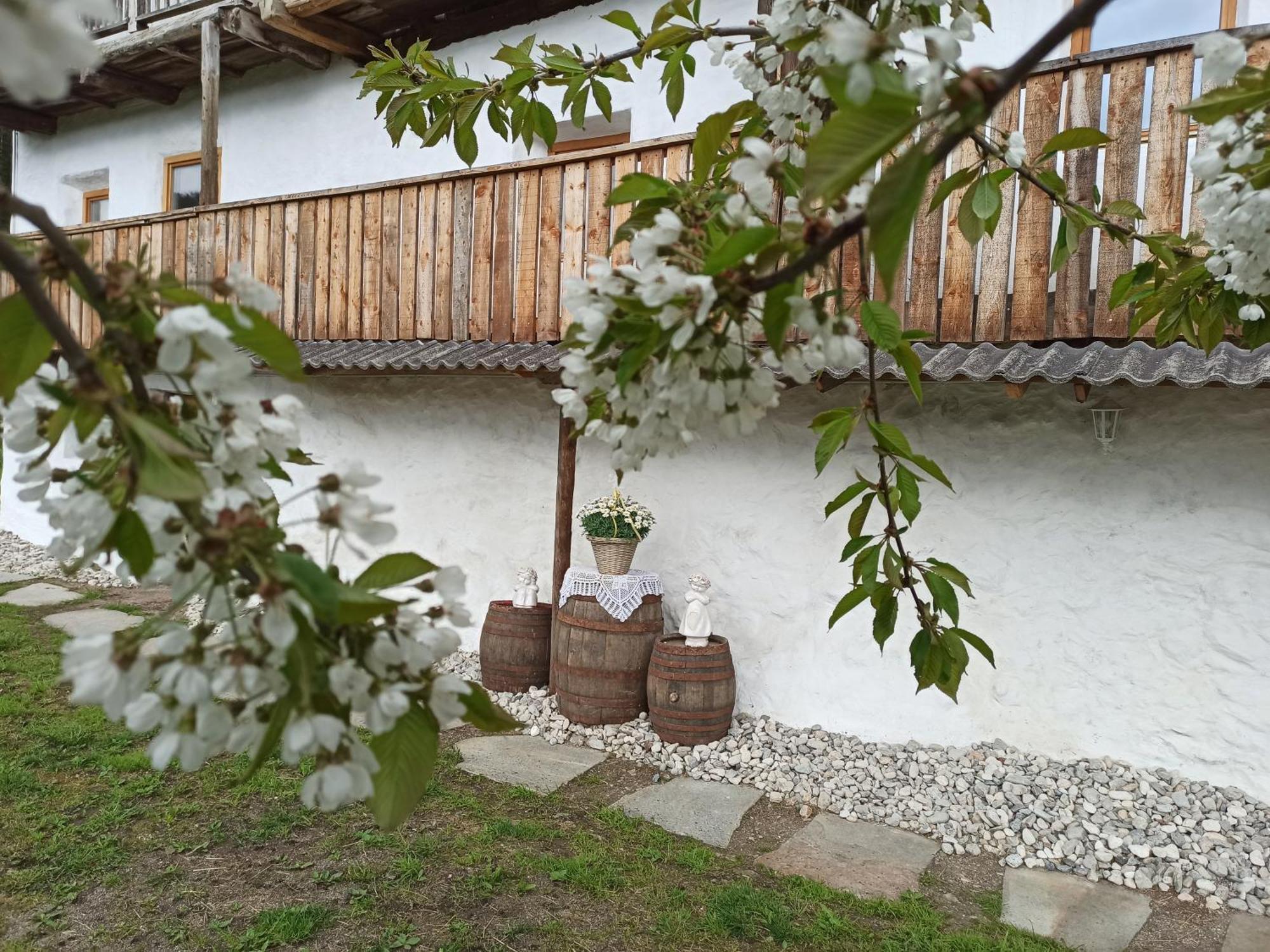 Natur Appartments Riesen سان لورينزو دي سيباتو المظهر الخارجي الصورة